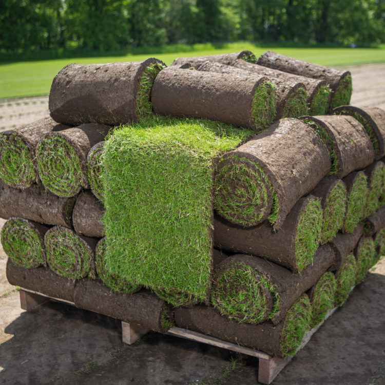 stack of lawn turf