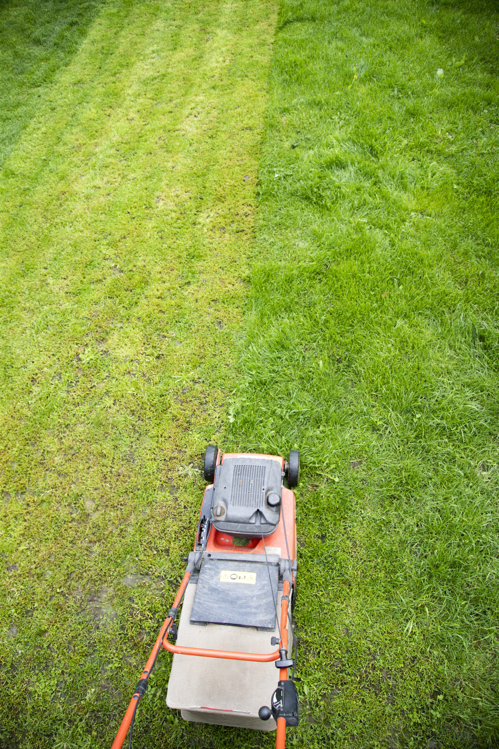 lawn mower close up