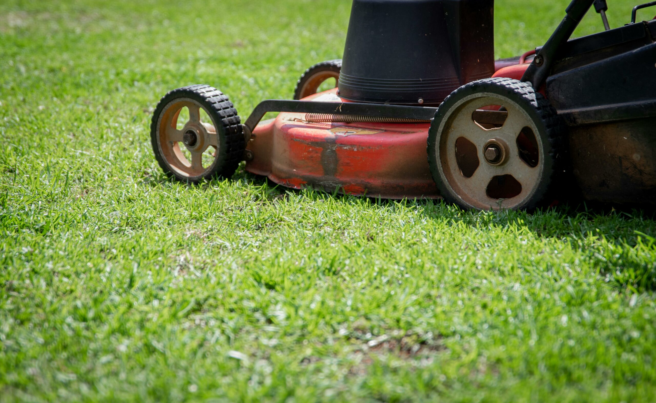 how to prevent lawn mowing mistakes
